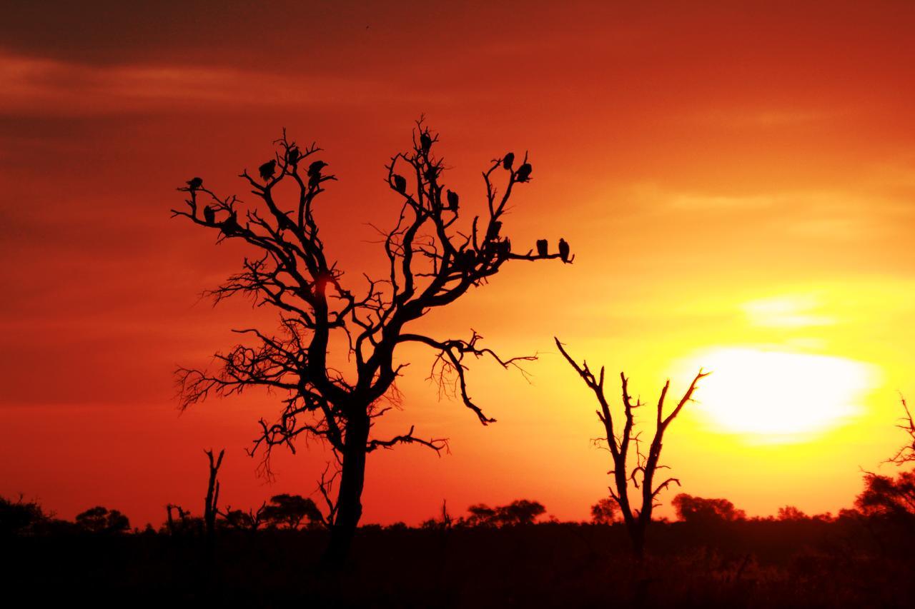 Sweni Lodge 91 Mjejane Kruger Park Hectorspruit Bagian luar foto