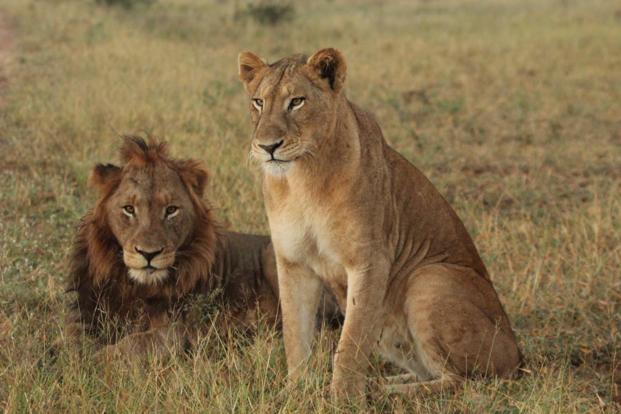 Sweni Lodge 91 Mjejane Kruger Park Hectorspruit Bagian luar foto